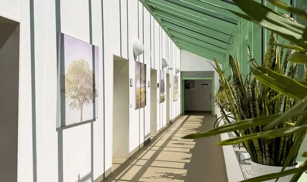 Heller Krankenhausflur mit Glasdecke, weißen Wänden und Pflanzen; an der Wand hängen Bilder von Bäumen.