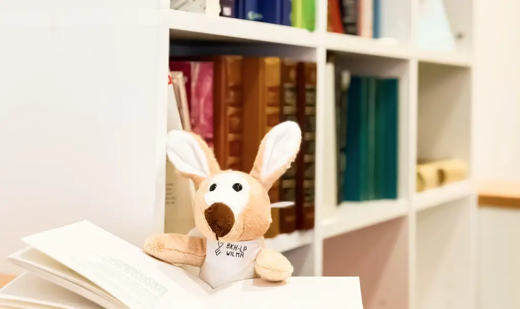 Plüsch-Känguru sitzt vor einem aufgeschlagenen Buch in einem hellen Raum mit Bücherregal im Hintergrund